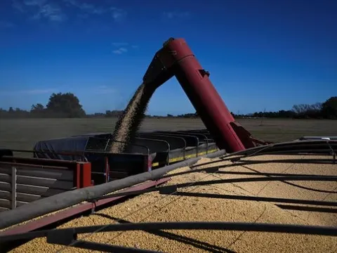 Trung Quốc ngừng mua đậu tương Mỹ, một ông trùm nông sản lập tức giảm thuế để ‘chào hàng’, đặt mục tiêu xuất khẩu 7 tỷ USD