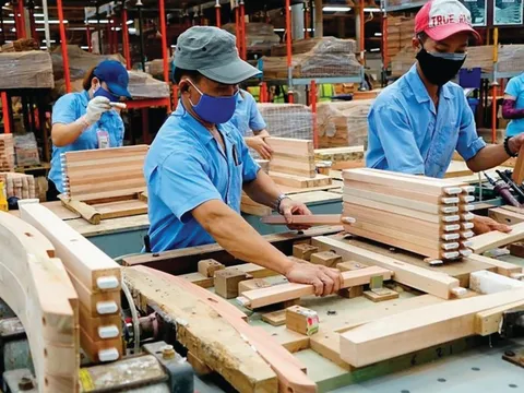 Ngành gỗ Việt Nam “né” cú sốc thuế Hoa Kỳ đầu năm 2026