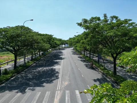 Giá trị của nơi sống có nhiều cây xanh